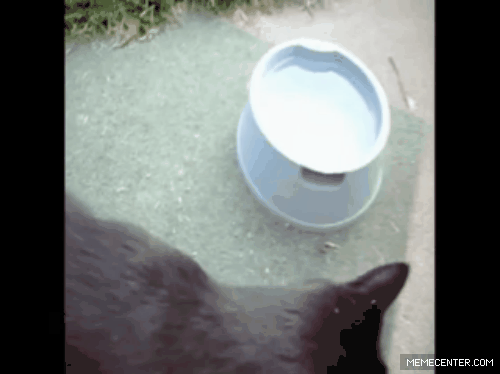MEOWAS