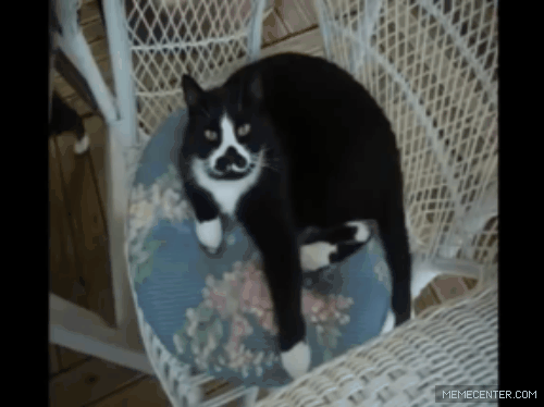 Yawns